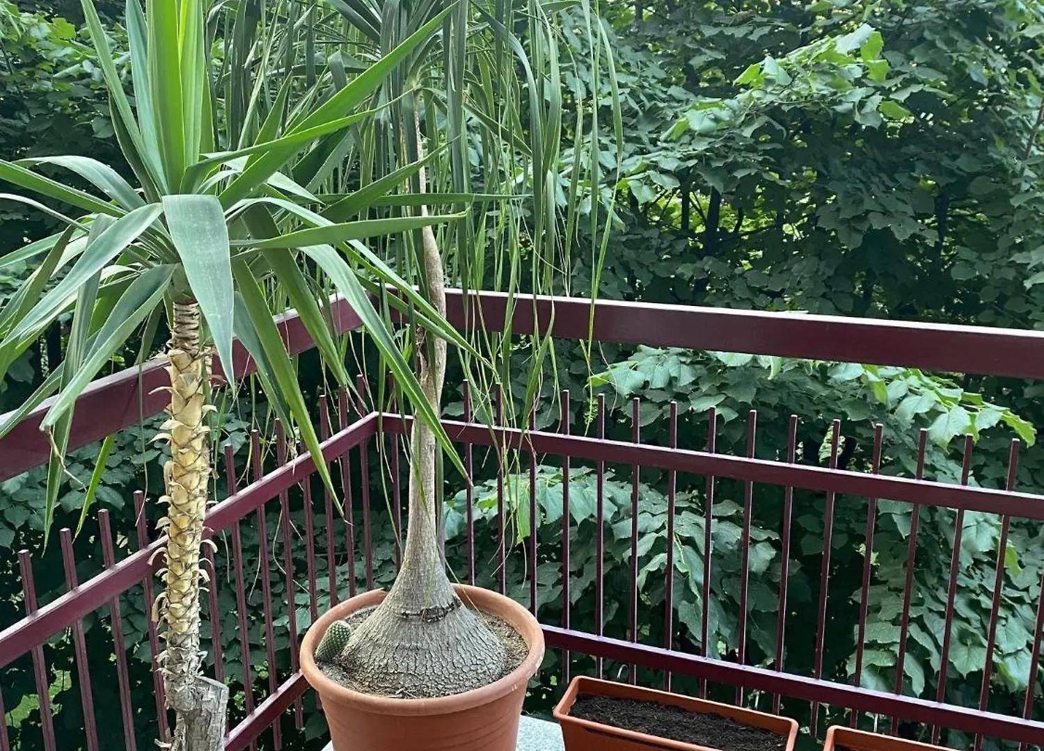 Magie Apartamento Milão Itália
